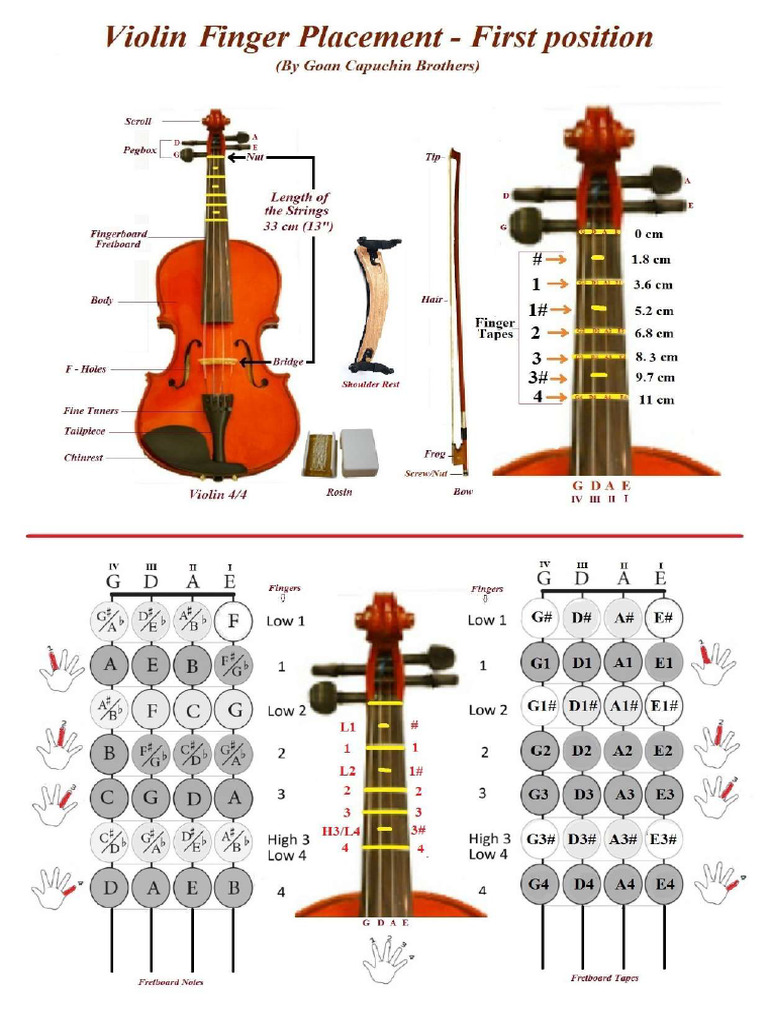 Violin Notes Basics | PDF