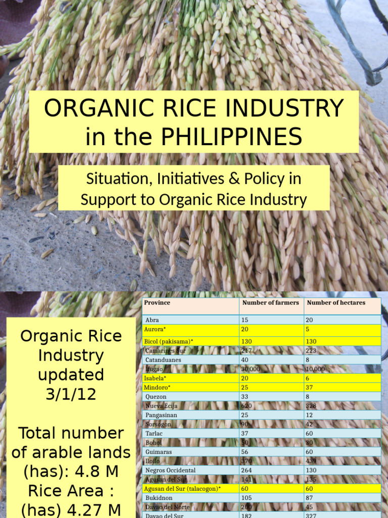 Organic Rice Industry in Philippines by Mavic | PDF | Rain | Agriculture