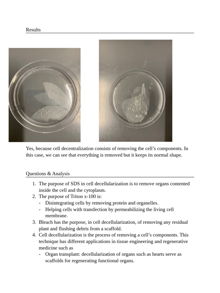 Biomedical Engineering Lab 9 | PDF | Tissue Engineering | Cell (Biology)