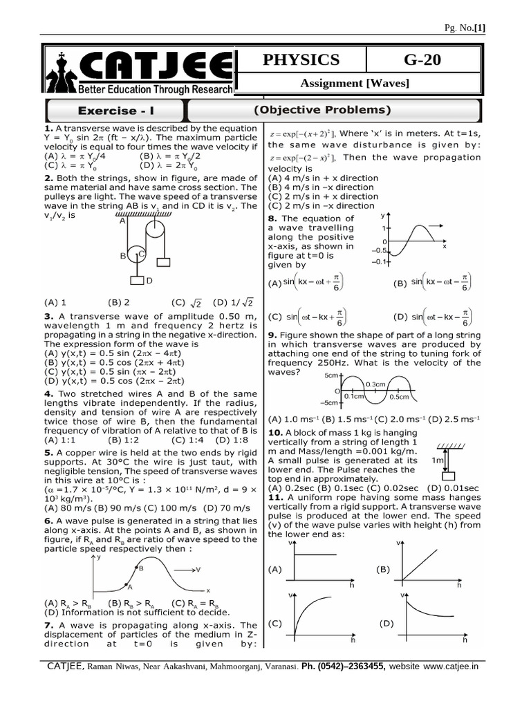 G-20 Physics Assignment on Waves | PDF