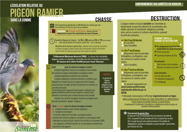 Réglementation chasse pigeon ramier 2025 | PDF | Chasse