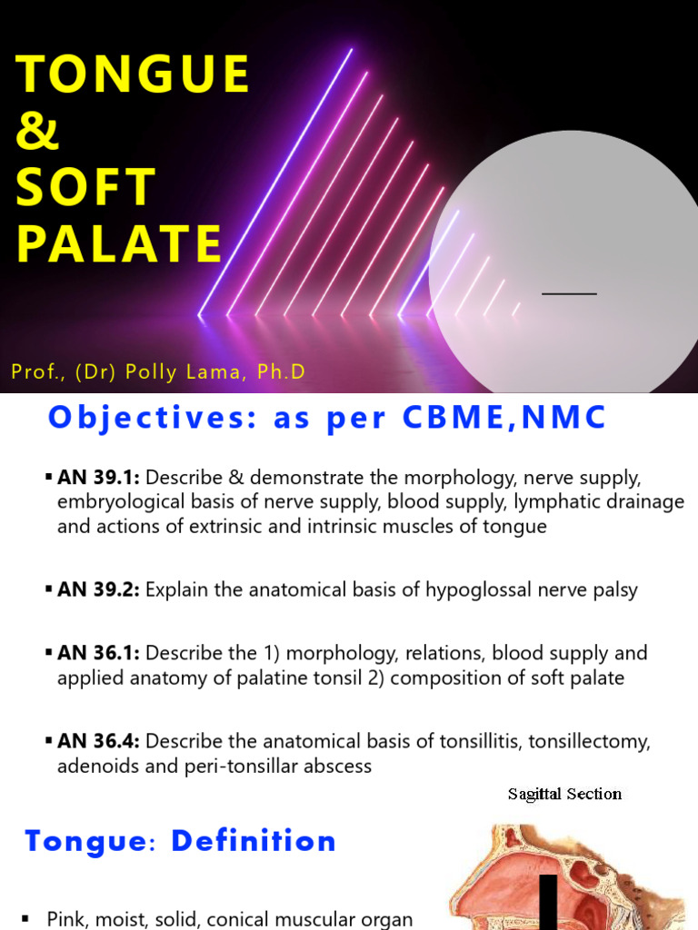 Tongue & Soft Palate - 250616 - 102543 | PDF | Tongue | Primate Anatomy