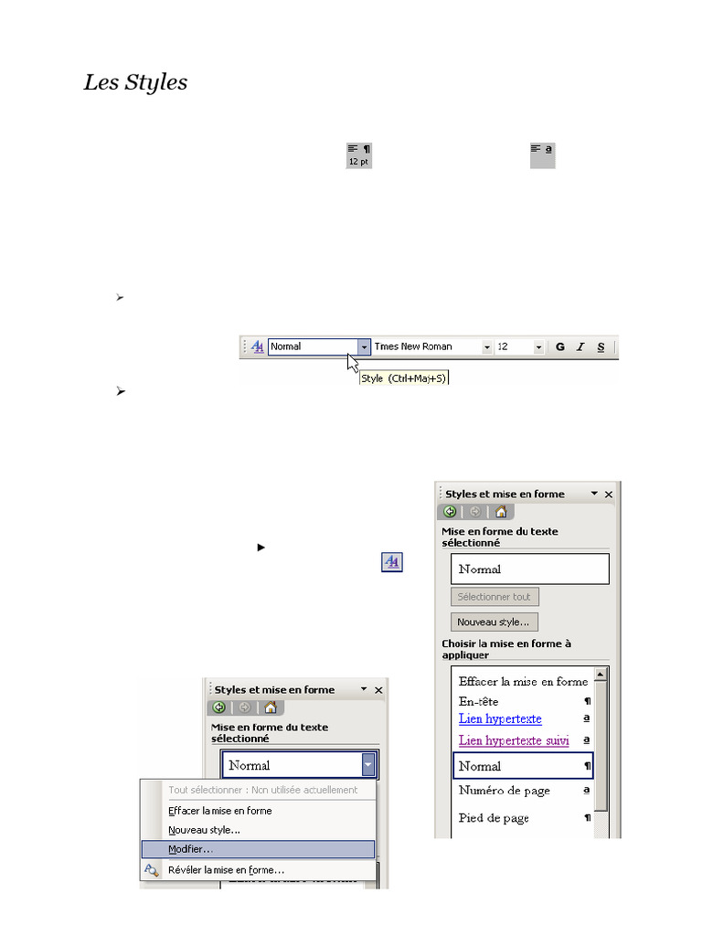 Utilisation et gestion des styles Word | PDF | Microsoft Word | Logiciel