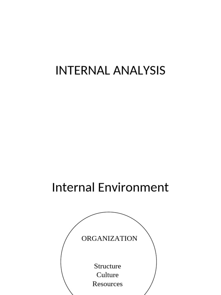 Internal Analysis - Bus 5021 | PDF | Competitive Advantage | Intangible ...