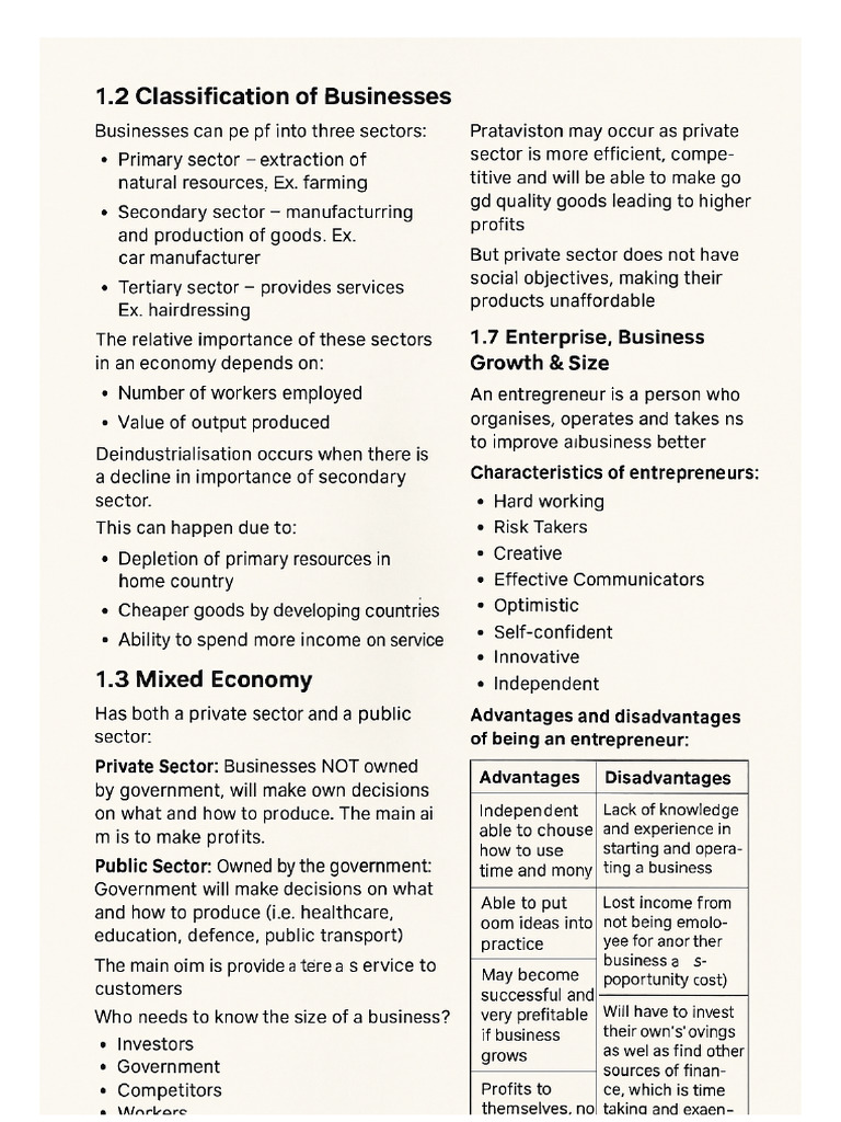Business Studies Notes | PDF
