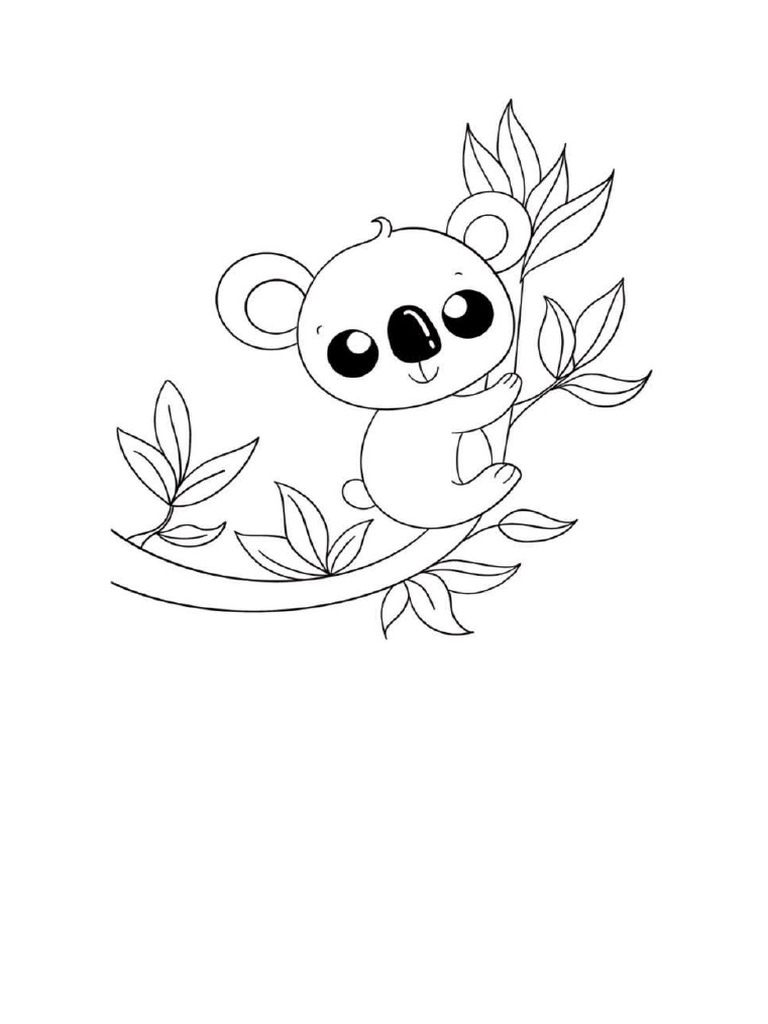 Koala | PDF