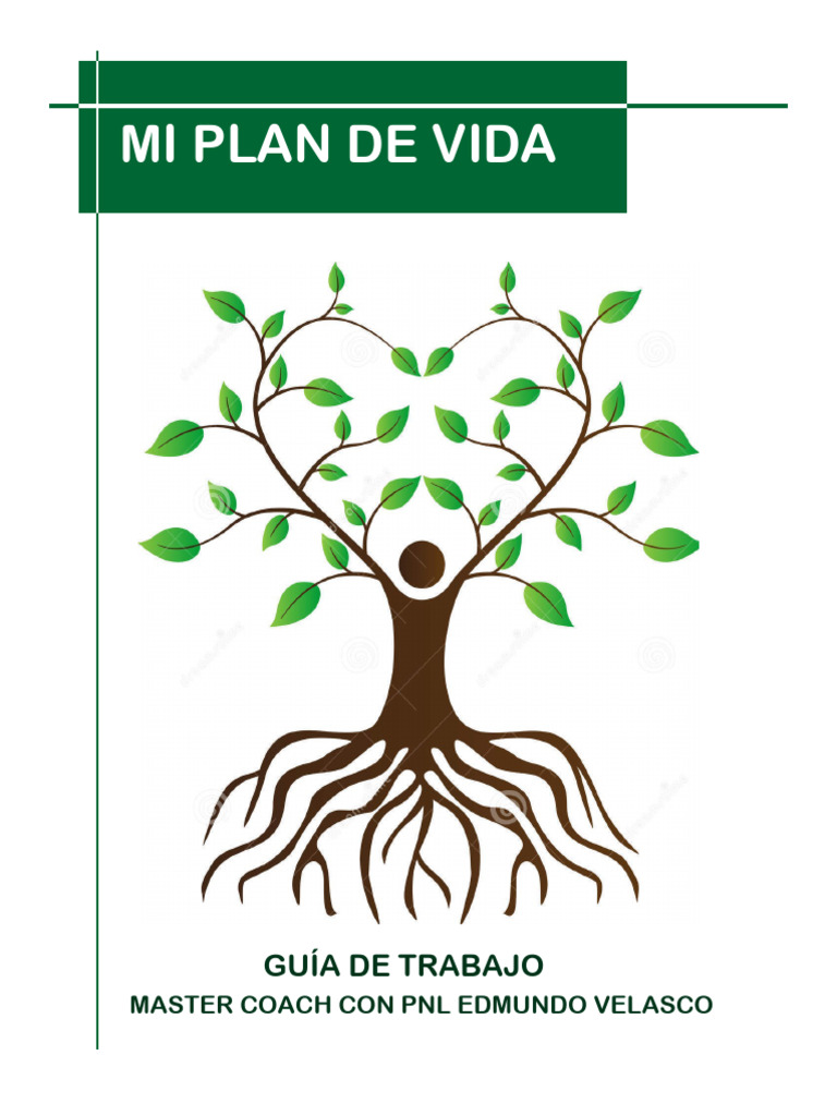 Guía para Crear un Plan de Vida | PDF | Alimentos | Obesidad