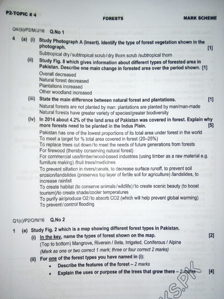 Answer Points | PDF