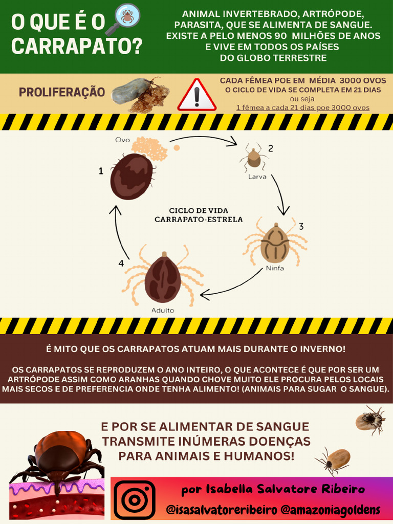 Cartilha Doença Carrapato | PDF