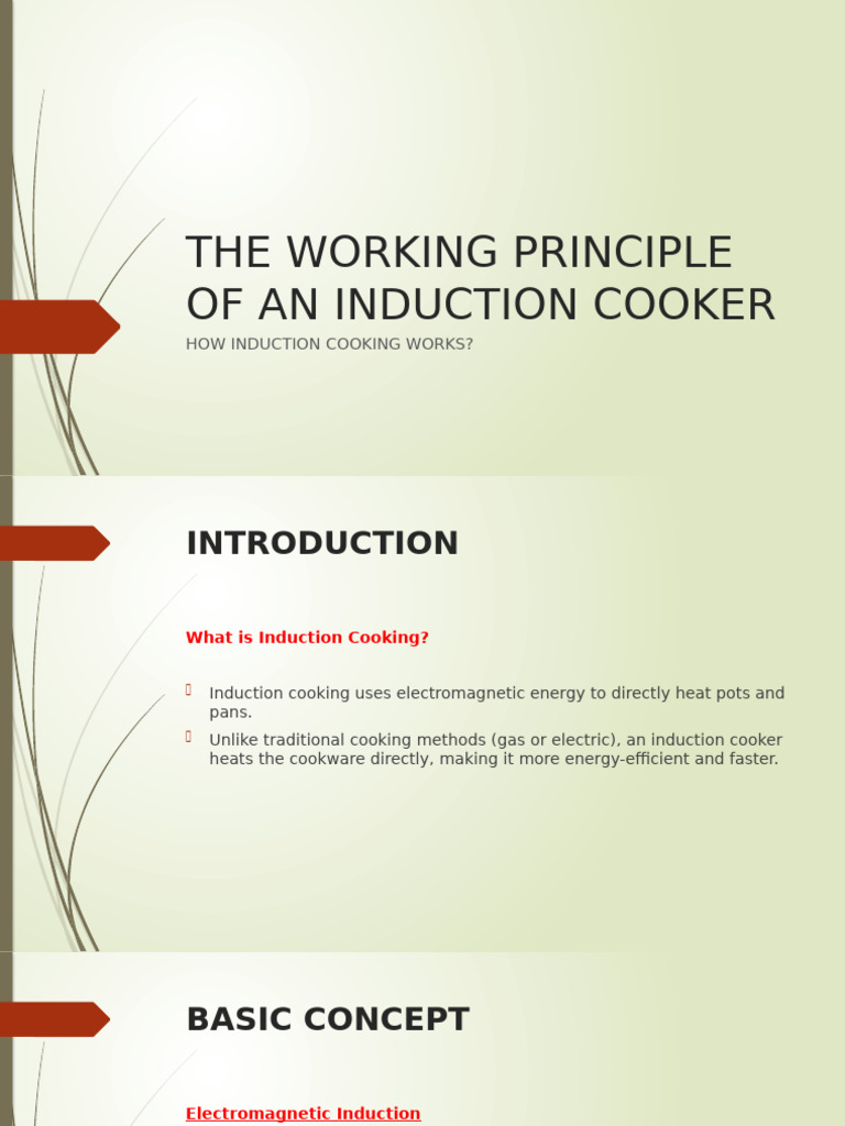 Induction Cooker | PDF | Electromagnetic Induction | Cookware And Bakeware