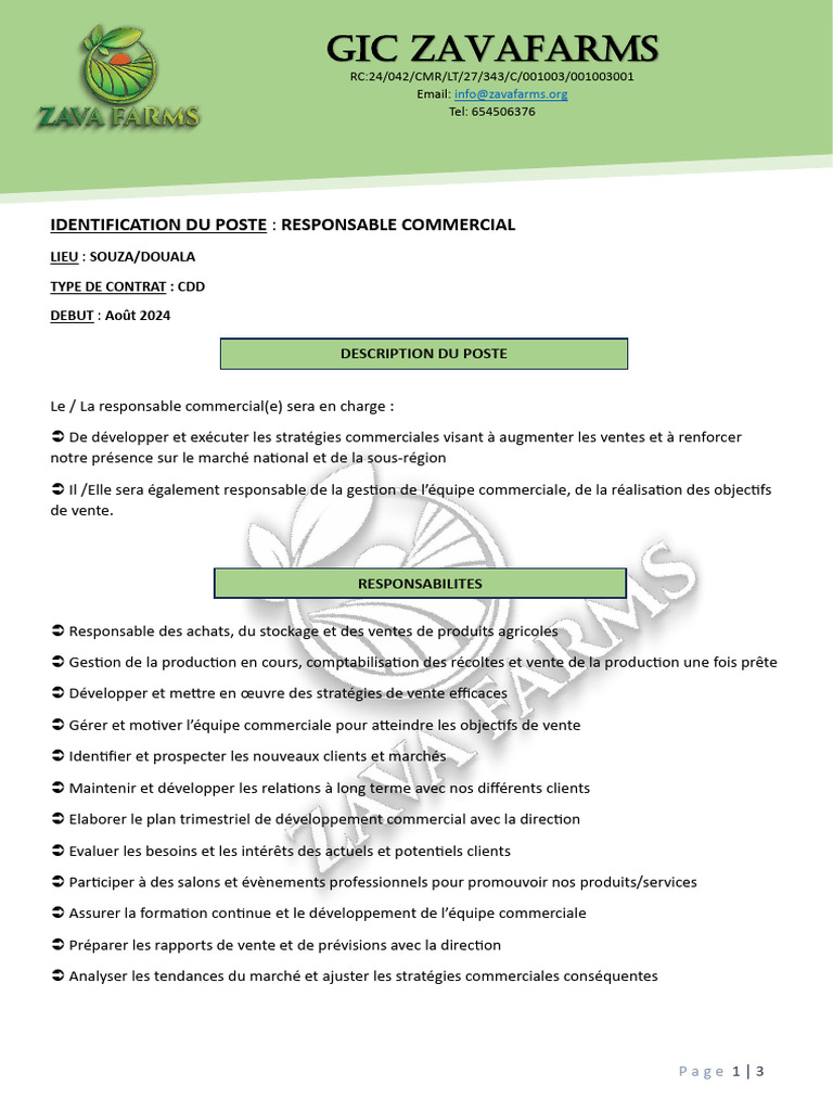 Fiche de poste : Responsable commercial | PDF | Sodles | Gestion de la ...