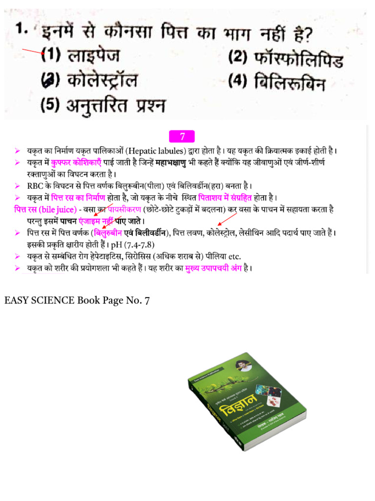 Easy Science 2nd Grade Proof | PDF