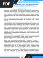 Yotoqxonalarda jinsiy ziyofat