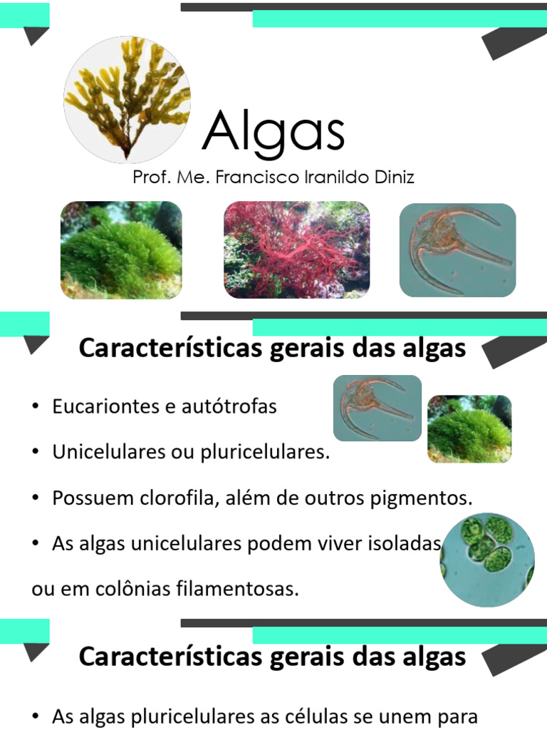Características e Classificação das Algas | PDF | Reprodução sexual ...