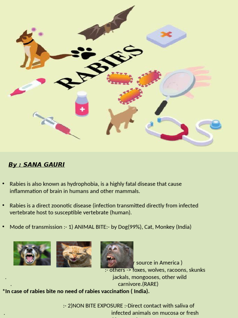 RABIES Dog Bite, Dog Bite Infection, Rabies | PDF | Rabies | Clinical ...