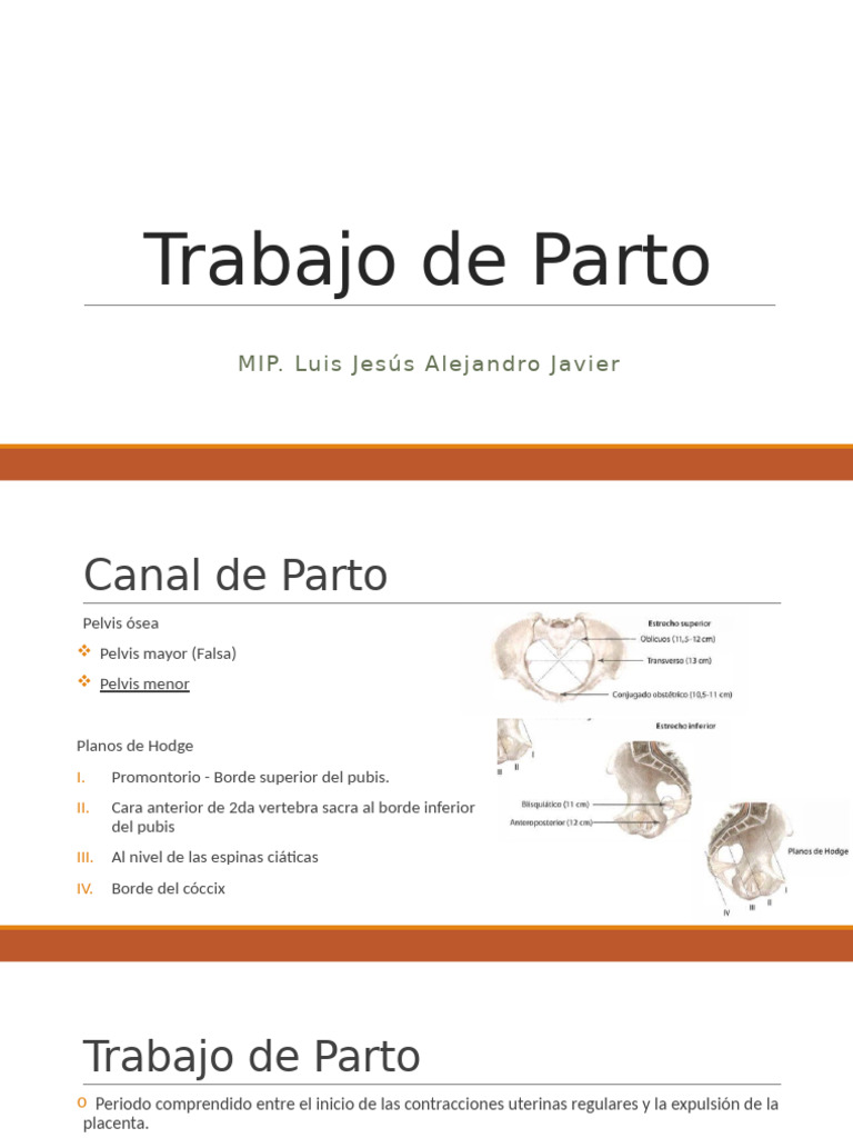 Trabajo de Parto | PDF | Parto | Pelvis