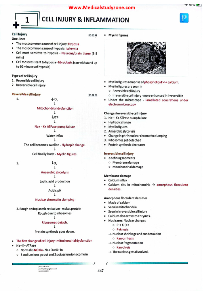 Preeti Sharma Pathology Notes PDF | PDF