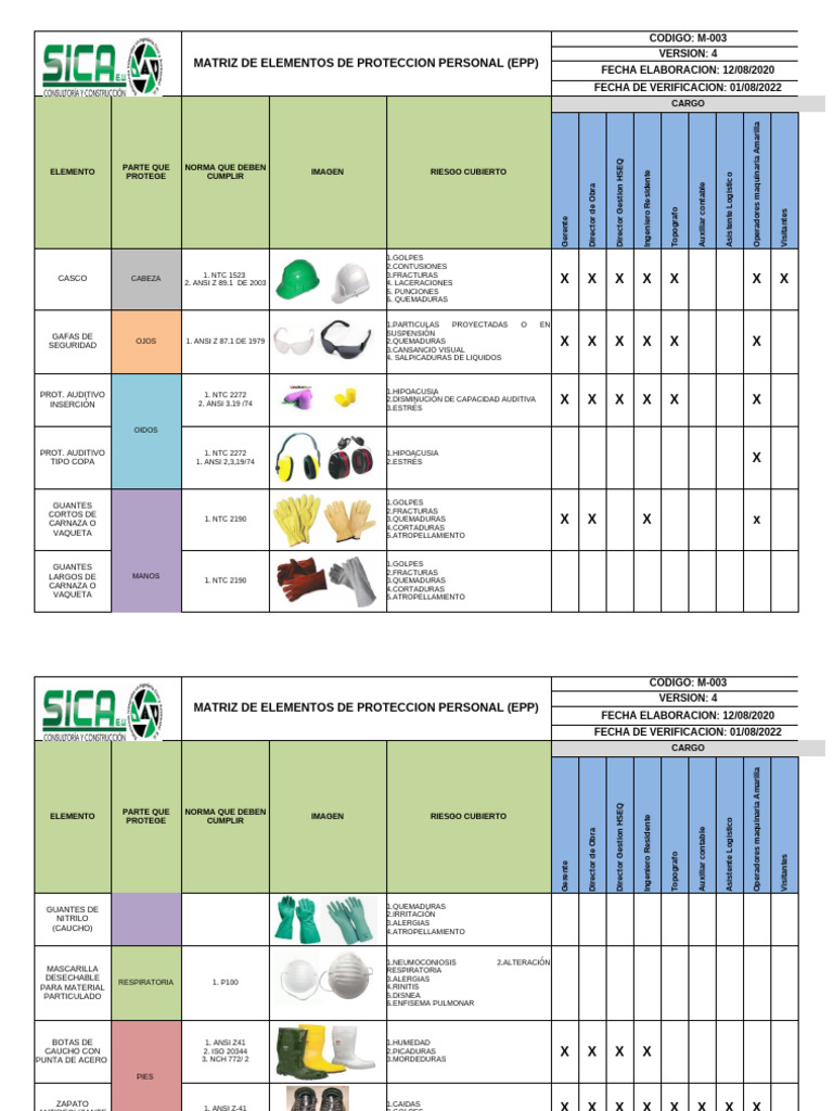 Matriz de EPP para Riesgos Laborales | PDF | Enfermedades y trastornos ...