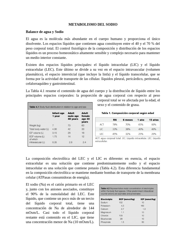 Metabolismo y Balance de Sodio en el Cuerpo | PDF | Sodio | Riñón