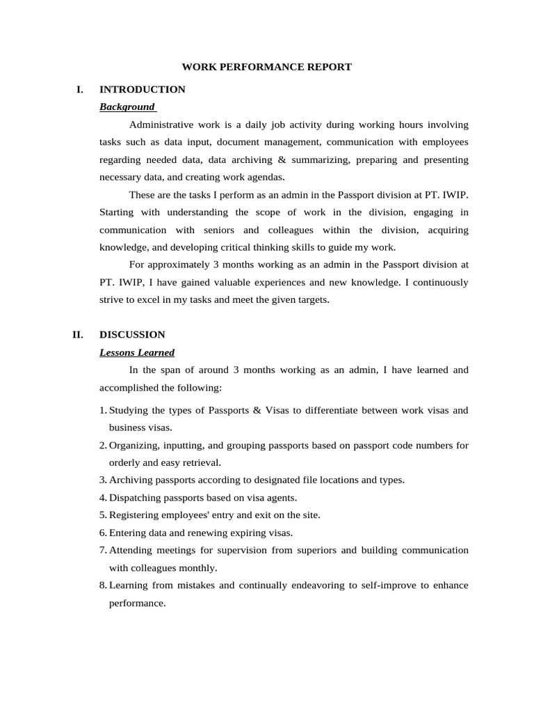 Dini - Work Performance Report | PDF
