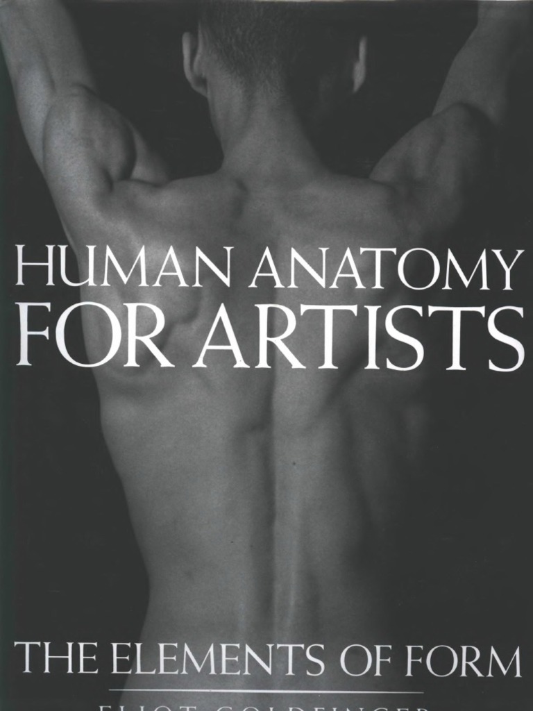 ANATOMY FOR 3D ARTISTS PDF FREE DOWNLOAD visual data 3