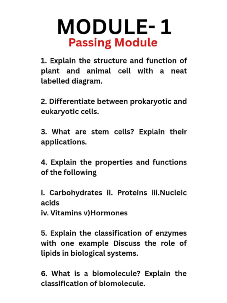 2025-06-16 10-11-09 | PDF