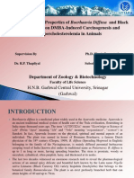 Ph.D.Presentation1