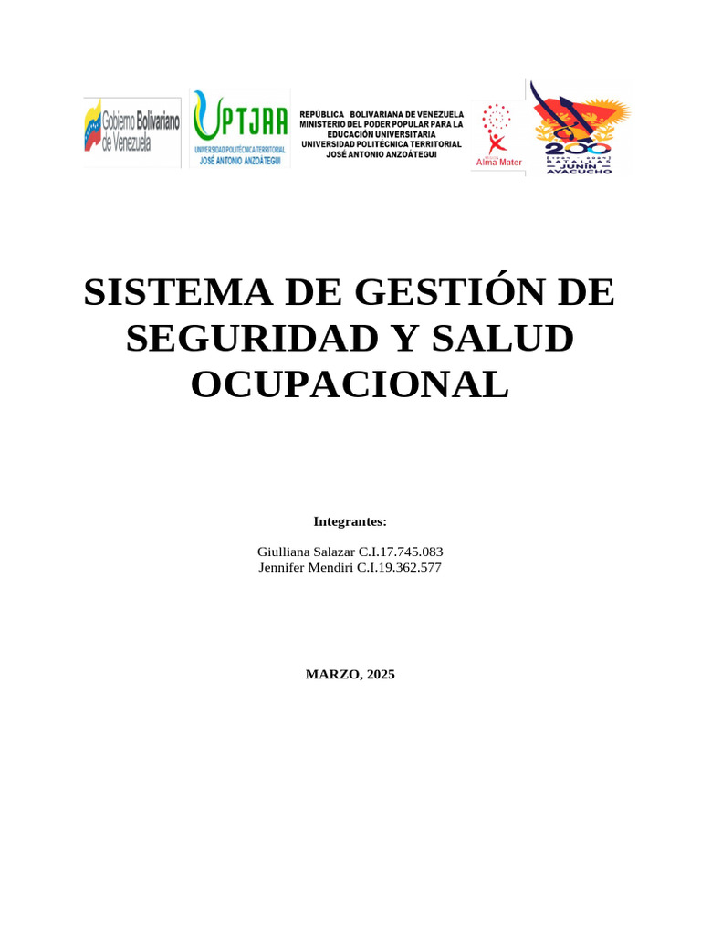 Sistema de Gestión de Seguridad y Salud Ocupacional | PDF | Seguridad y ...