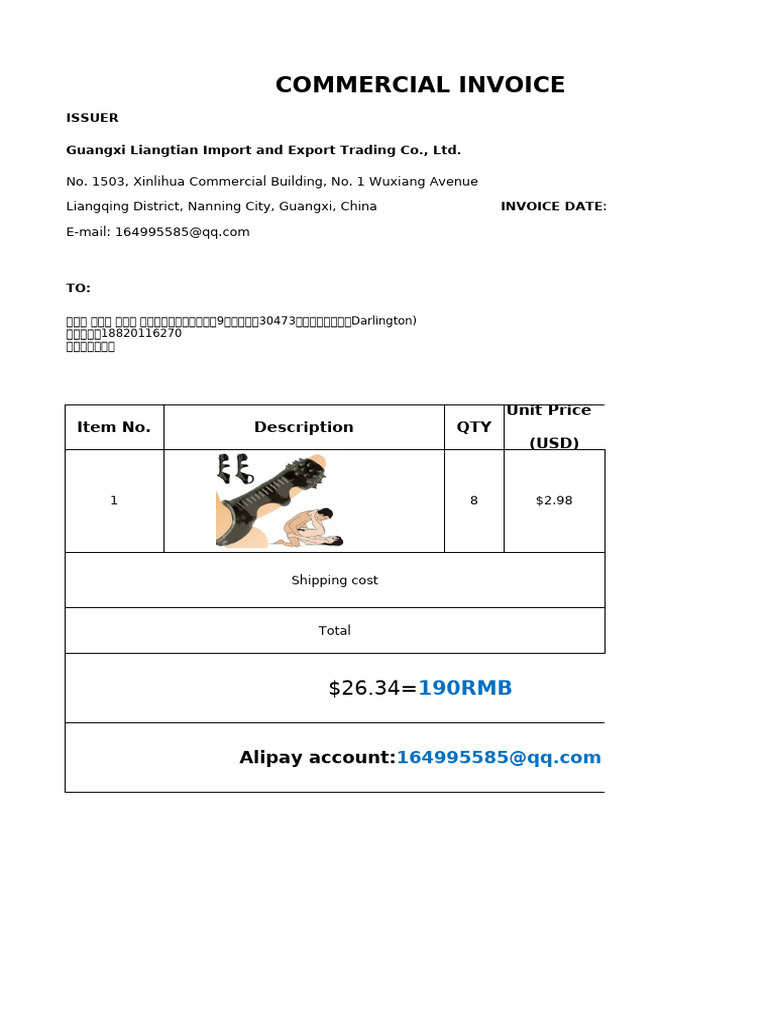 Commercial Invoice with Alipay Details | PDF