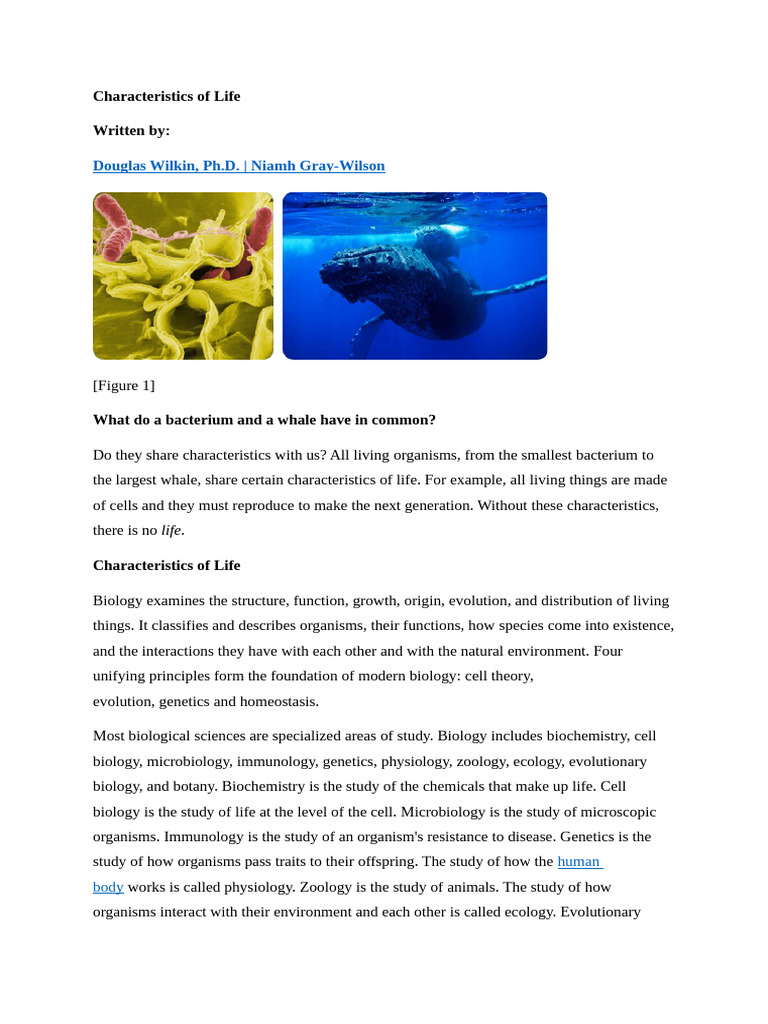 Seven Characteristics of Life Explained | PDF | Reproduction | Biology