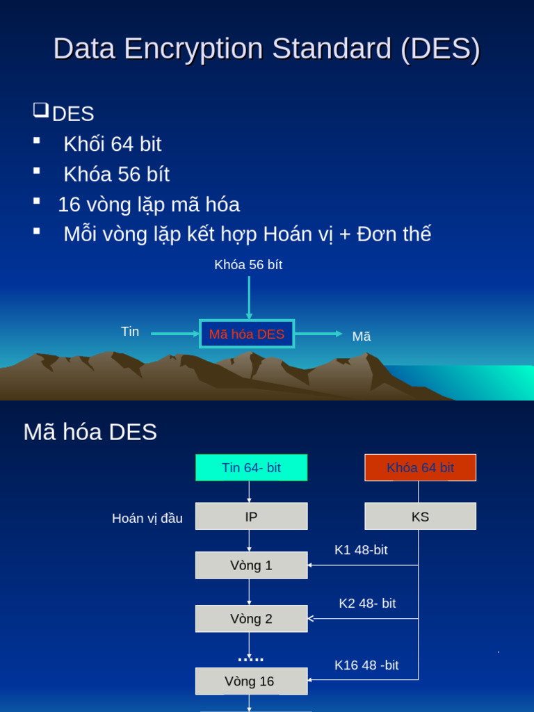 Data Encryption Standard (DES) | PDF