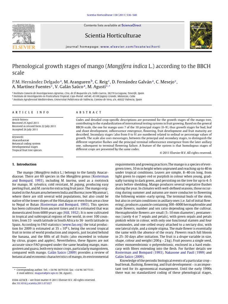 Mango Growth Stages BBCH Scale Guide | PDF | Leaf | Mango