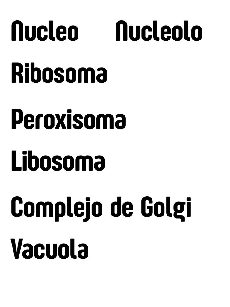 Nucleo Nucleolo Pdf Pdf