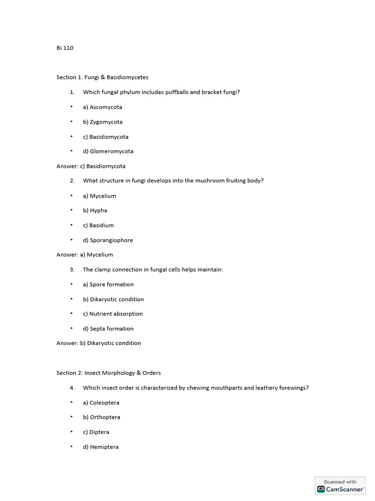 Fungi, Insects, Protists, and Viruses Quiz | PDF | Virus | Archaea
