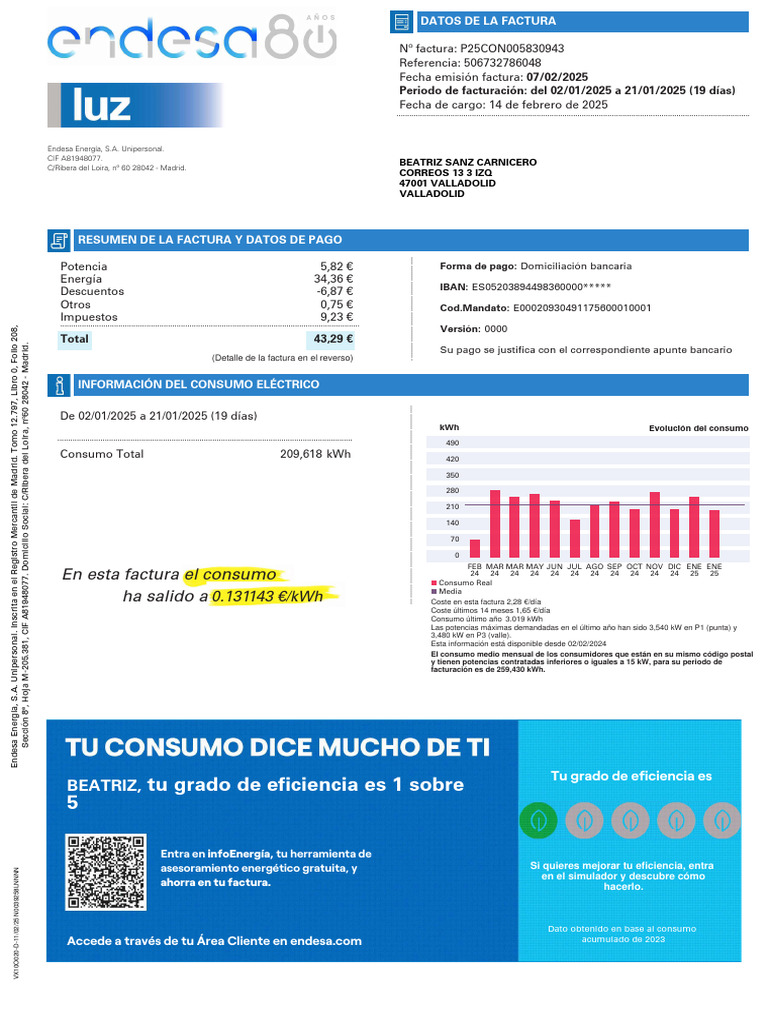 Factura de electricidad Endesa: Feb 2025 | PDF | Economias