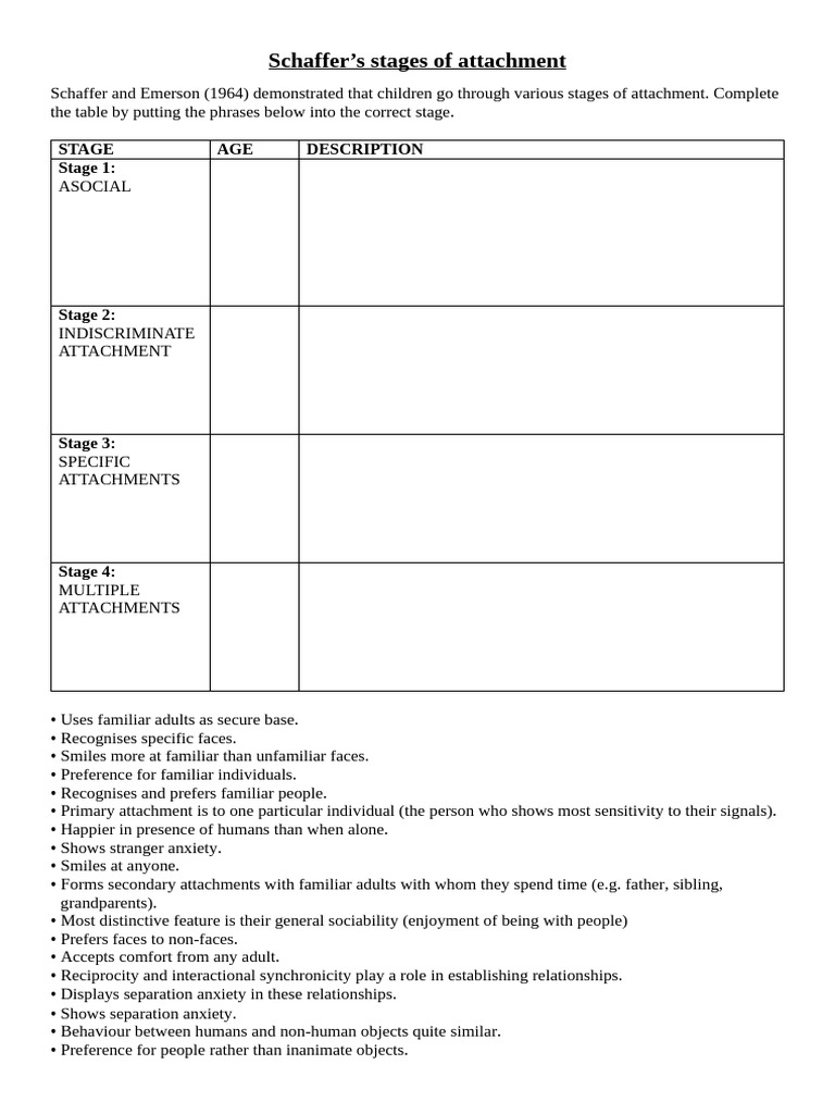 Schaffer S Stages | PDF
