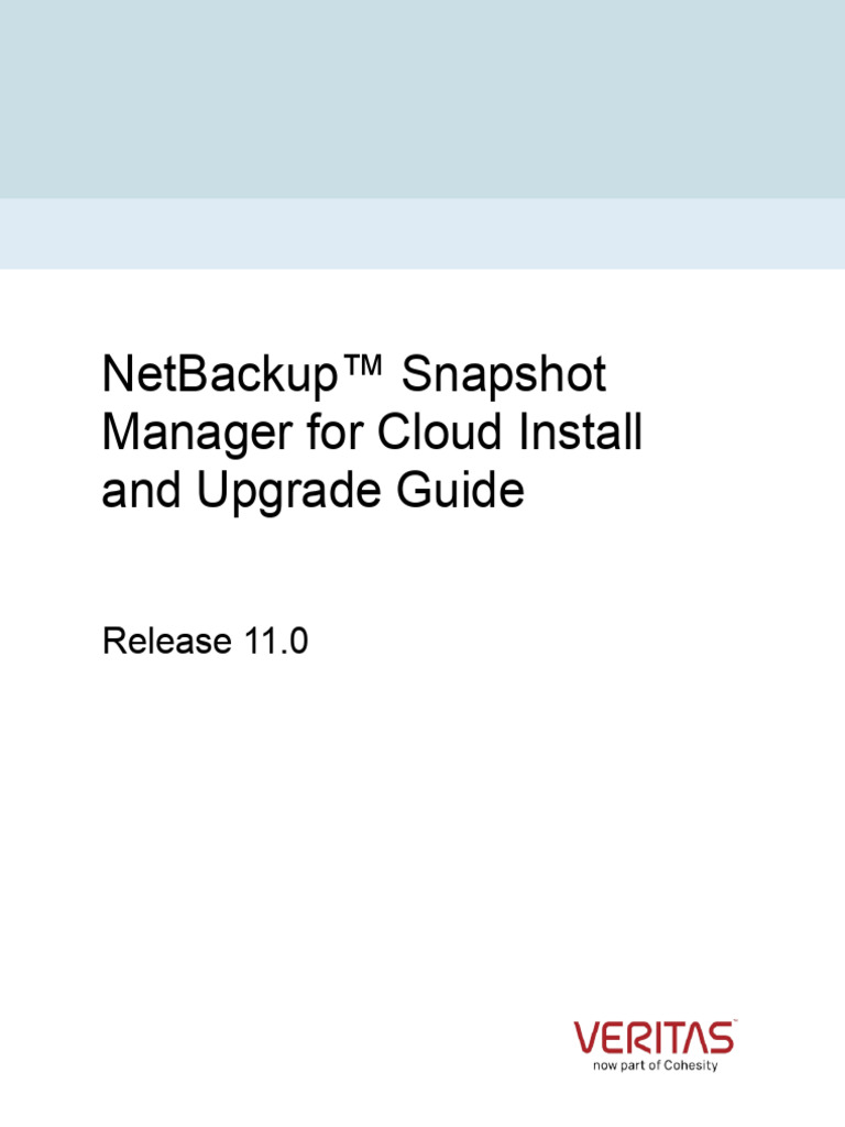 NetBackup Snapshot Manager 11.0 Guide | PDF | Virtual Machine | Cloud ...
