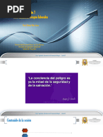Circular 047 de 2025: Capacitación SG-SST | PDF