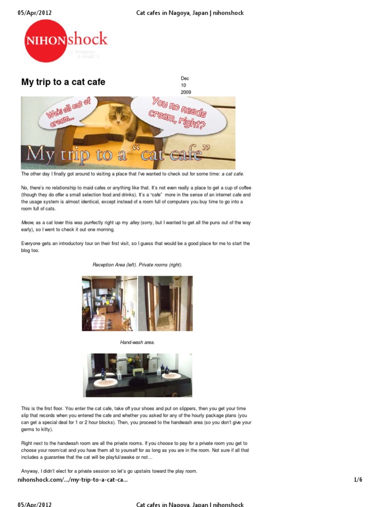Cat Cafes in Nagoya Japan Nihonshock Coffeehouse Cat Cafes in Nagoya Japan Nihonshock Coffeehouse