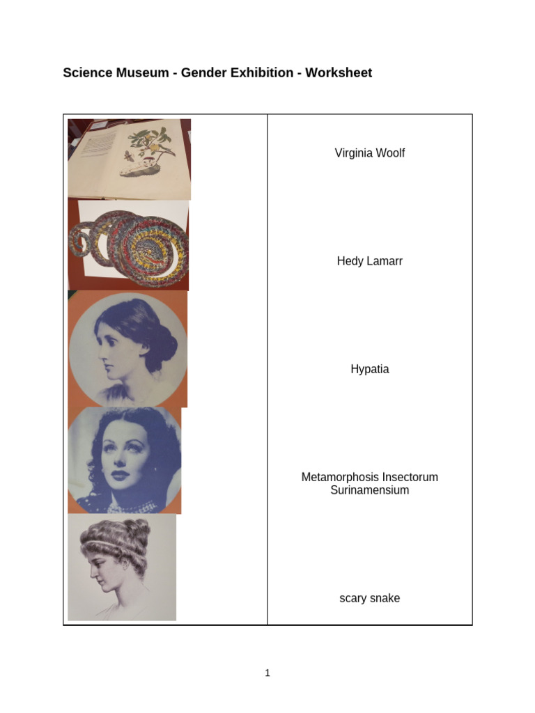 Gender Exhibition Worksheet Activities | PDF