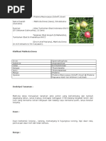 Download Info Herba by Farihah Ha SN88101813 doc pdf