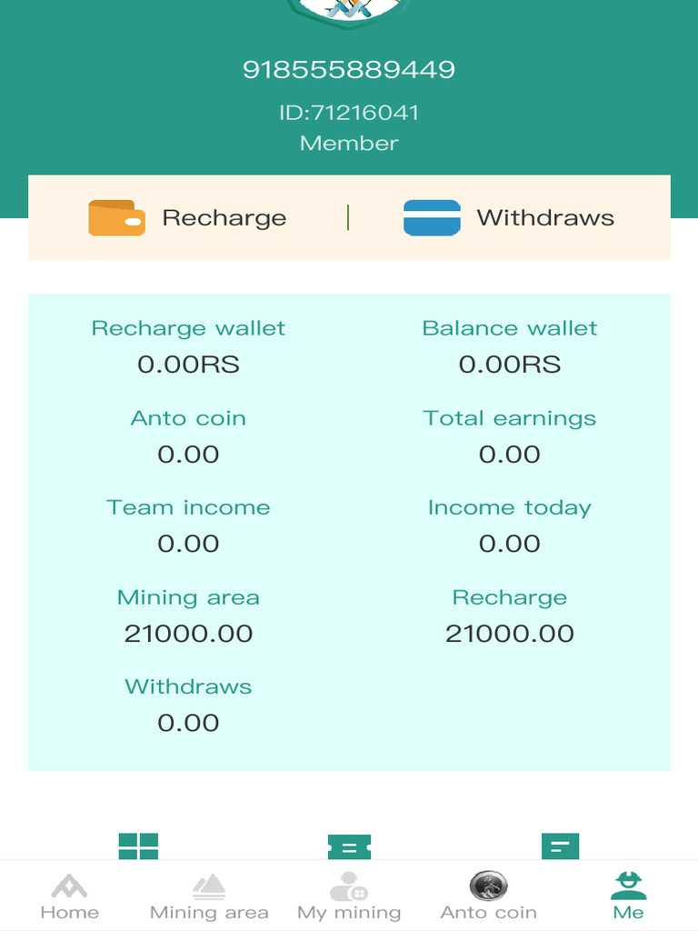 Mining Earnings and Wallet Overview | PDF
