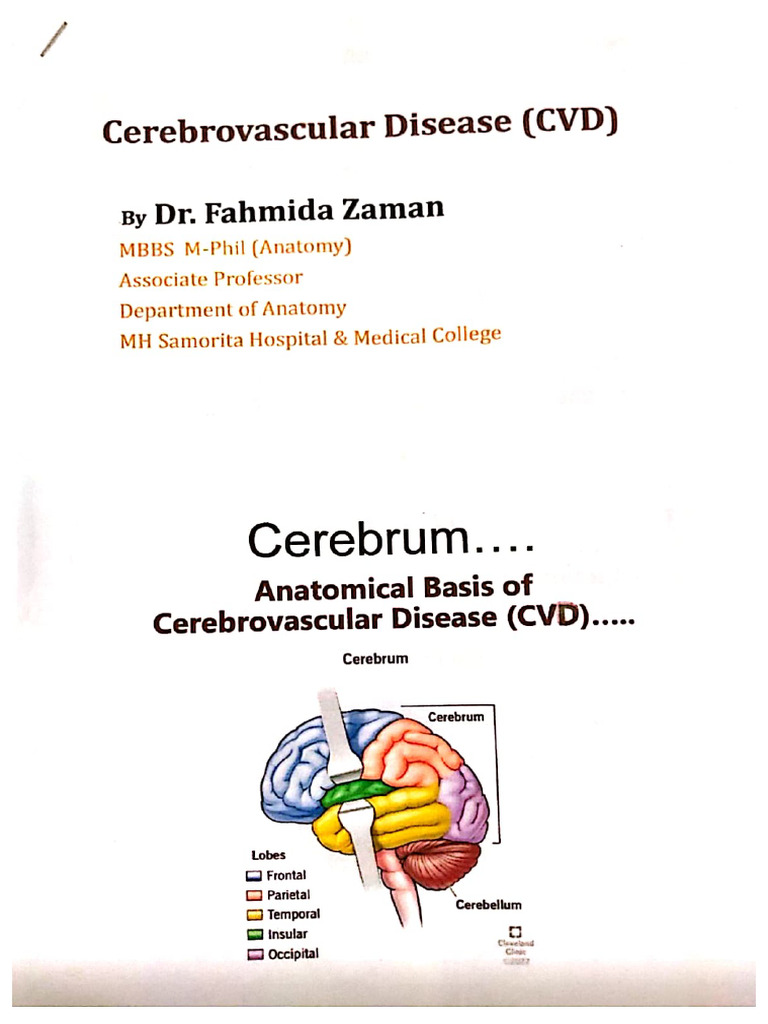 Anatomy Integrated Teaching - Cerebrovascular Disease | PDF