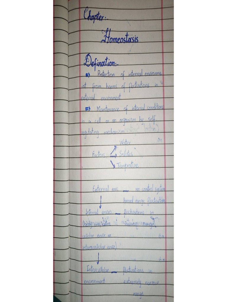 Homeostasis Notes | PDF