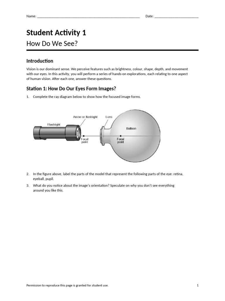 Understanding Human Vision Activities | PDF | Eye | Visual Perception