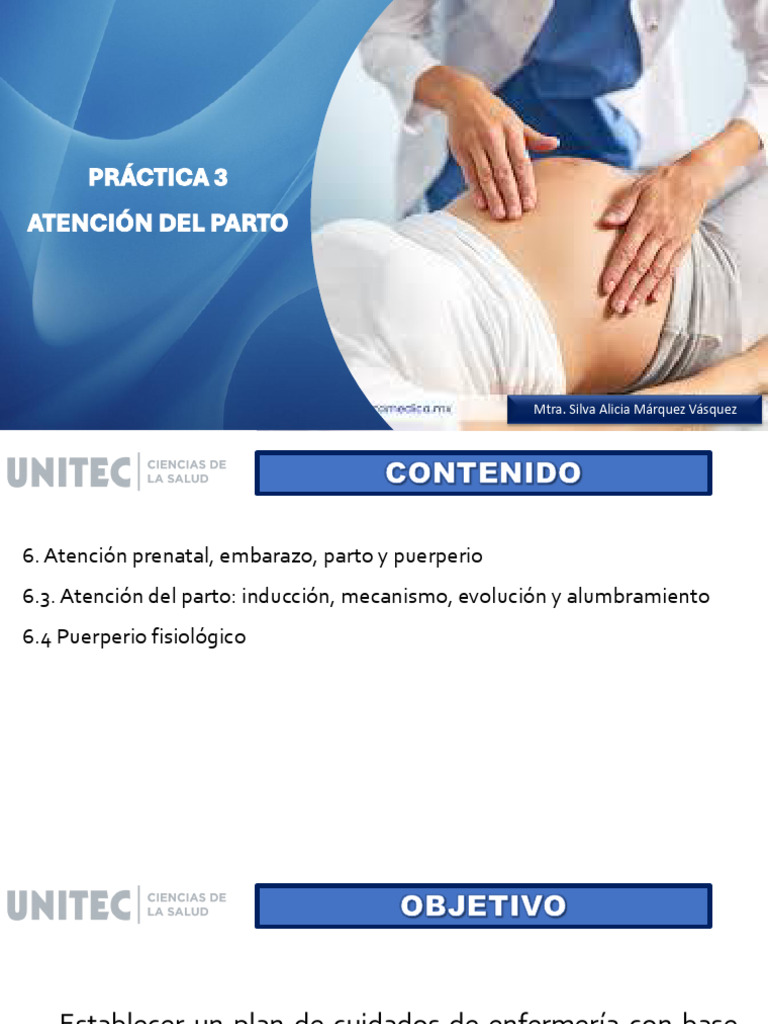 Atención Integral del Parto y Puerperio | PDF | Parto | Periodo posparto