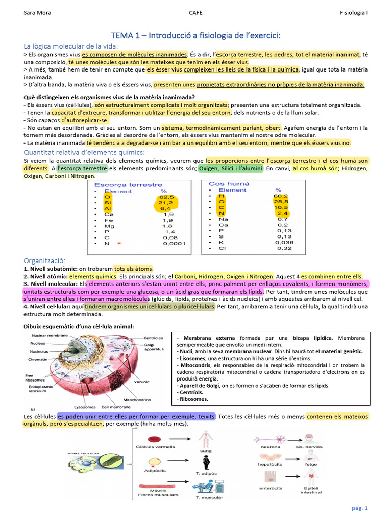Apunts Fisiologia | PDF