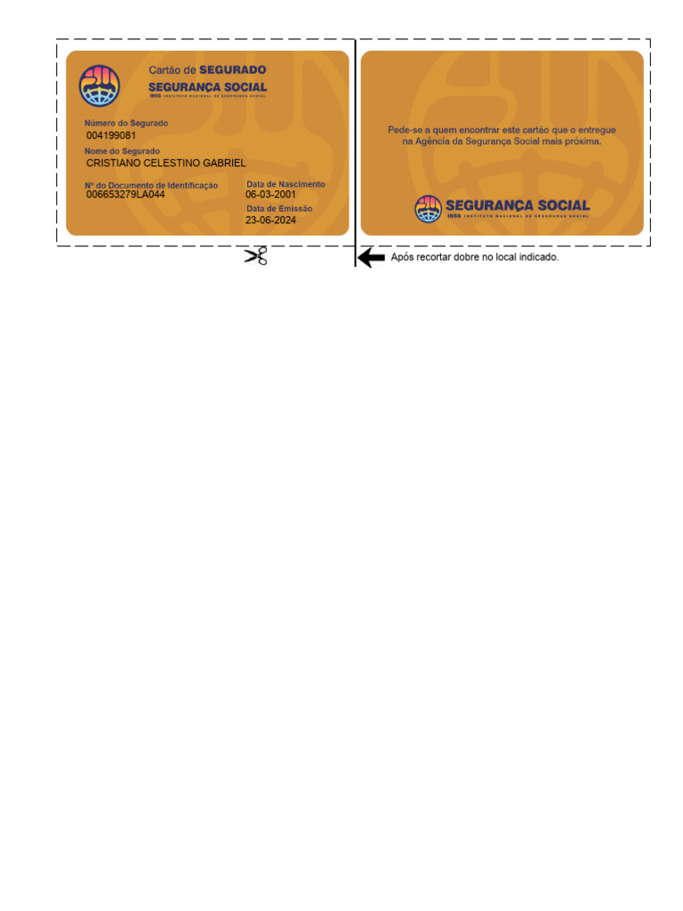 Cartão INSS | PDF