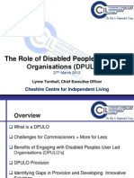 The Role of DPULOs - Presentation From Lynne Turnbull, CCIL and DPULO Ambassador