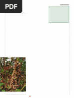 Frantisek Baluska Plant-Environment InteractionsBookFi - Org | PDF